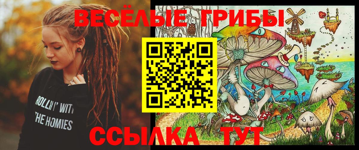 Галлюциногенные грибы Psilocybe Екатеринбург