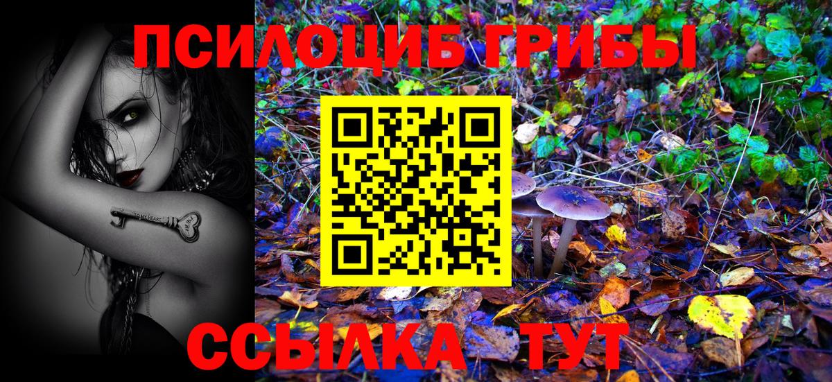Екатеринбург  Галлюциногенные грибы мухоморы  Вход с VPN 