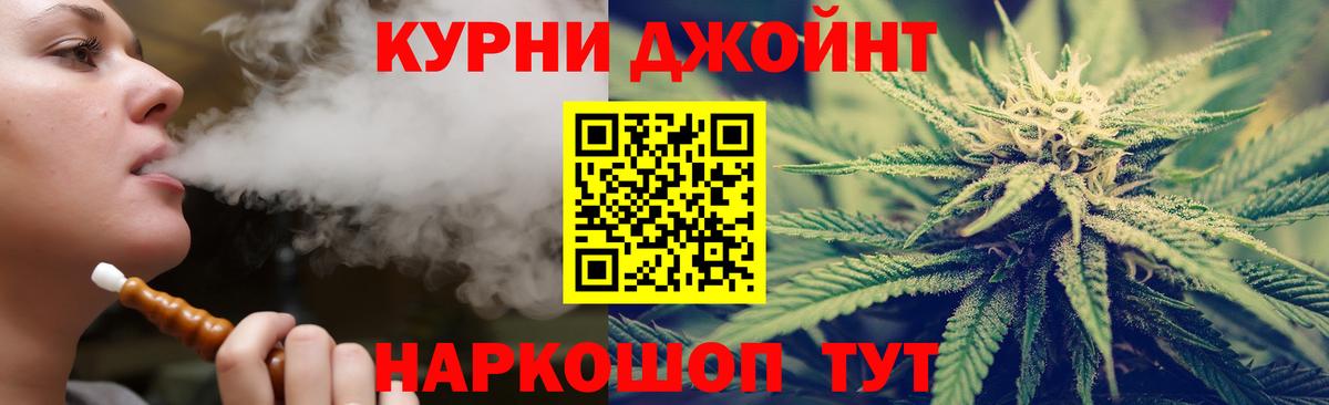 Бошки Шишки планчик Екатеринбург
